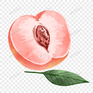 蜜瓜视频下载官方版APP应用